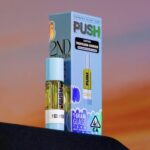 Push Vape Cart Tropical Cookies