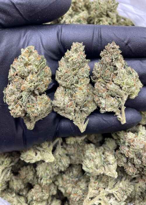frosted flakes strain