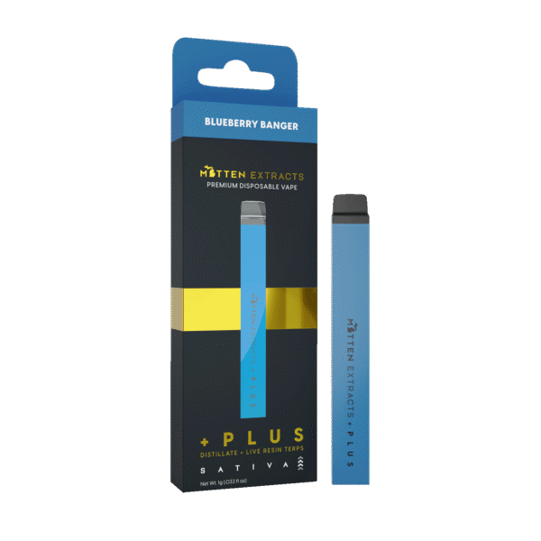 Blueberry Banger Disposable THC Vape