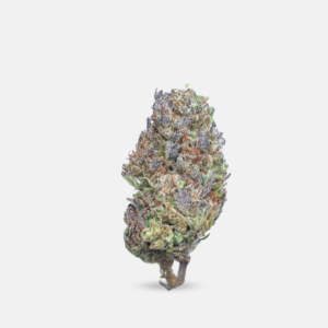 Jelly Punch Indoor THCA