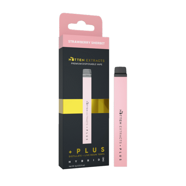 Strawberry Sherbet Disposable THC Vape